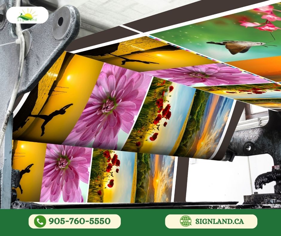 Signland: Quality Print and Signage Solutions for Your Business
