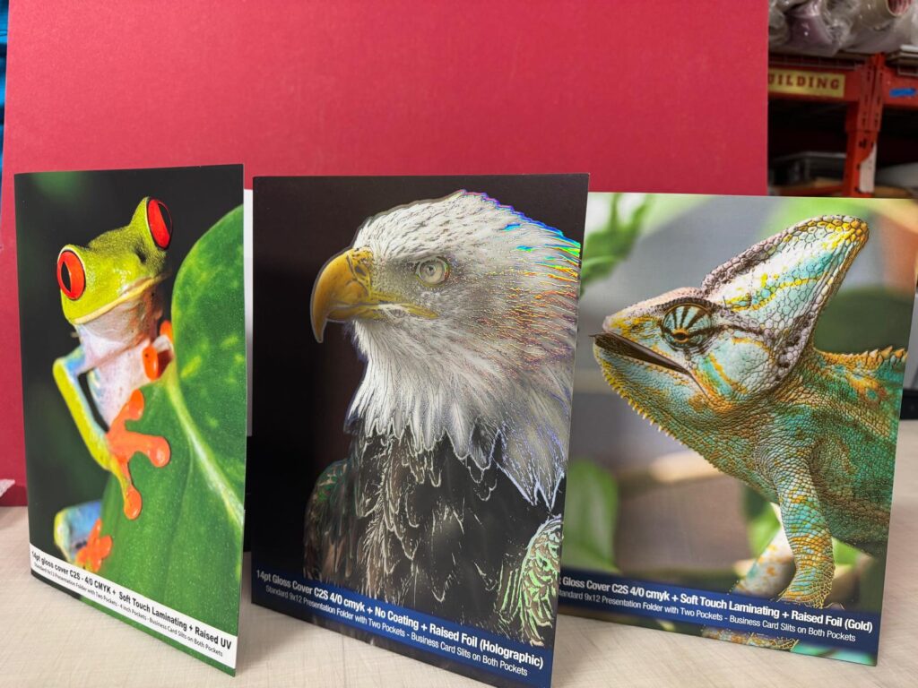 Signland: Complete Design, Print, and Digital Solutions for Your Business